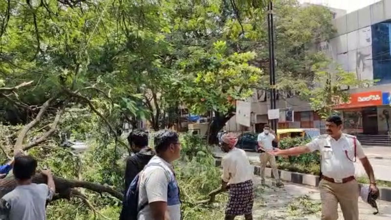 A huge Tree branch falls on DCPs car in Benglauru 2