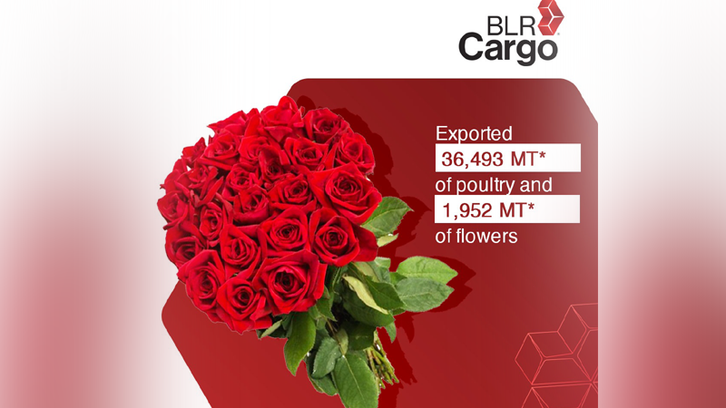 BLR Cargo