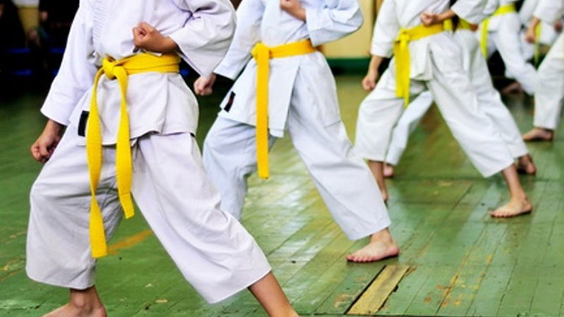 Karate Class 2