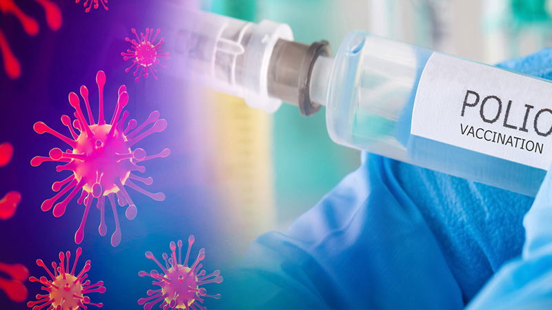 Polio 2