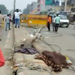 Road Divider