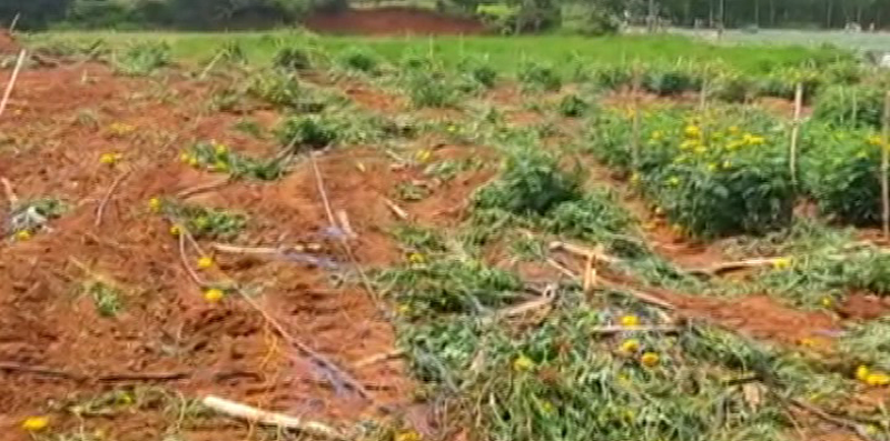 TUMAKURU FARMER JCB 5