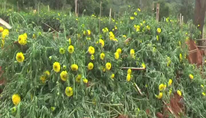 TUMAKURU FARMER JCB
