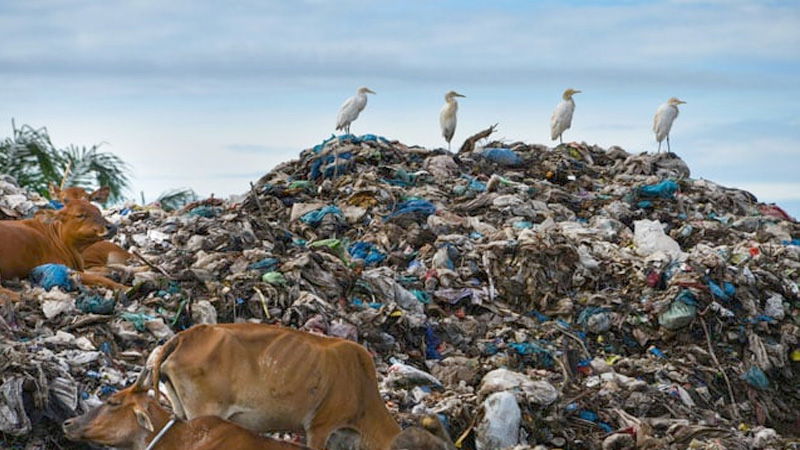 WASTE