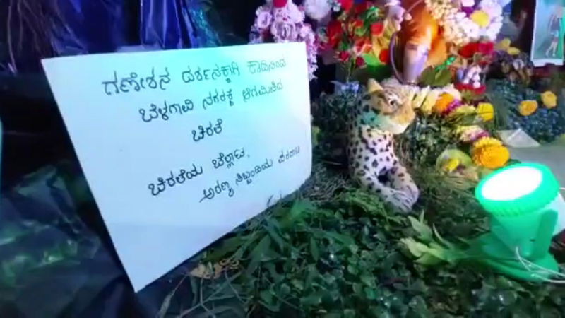belagavi ganeshotsava cheeta 2