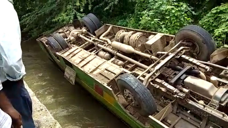bus palti