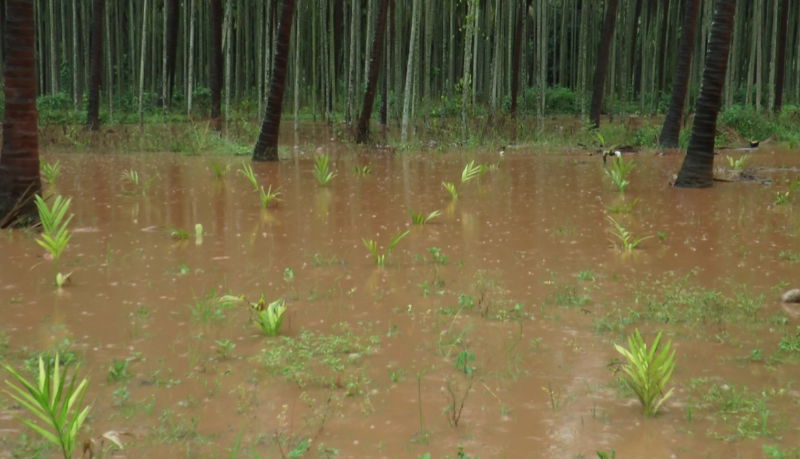 chikkamagaluru 2