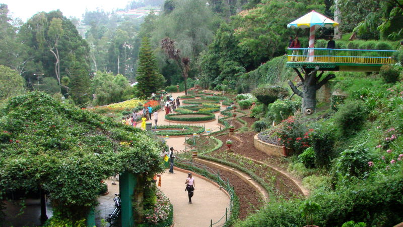 ooty tourism Government Botanical Garden 1