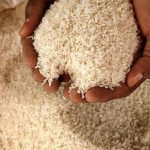 rice