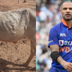 shikhar dhawan