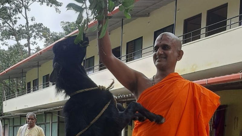 udupi pejavara shree 1