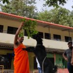 udupi pejavara shree