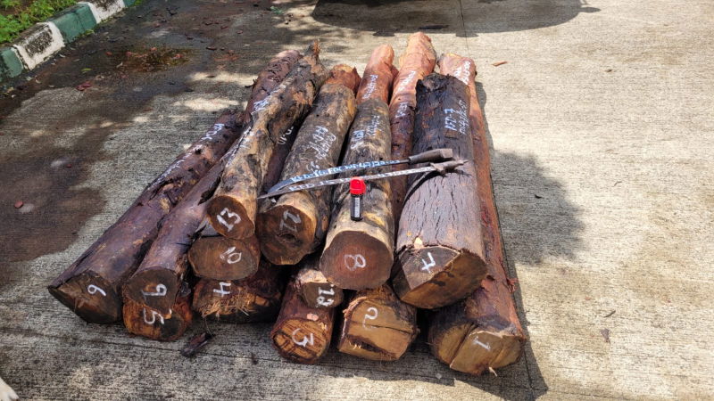 577kg of red sandalwood seized in ramangara 2