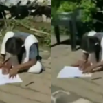 GIRL READING