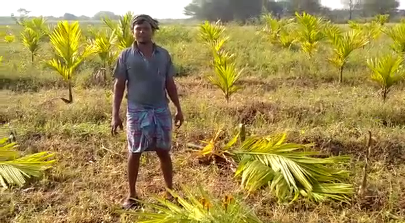 HAVERI FARMER 1