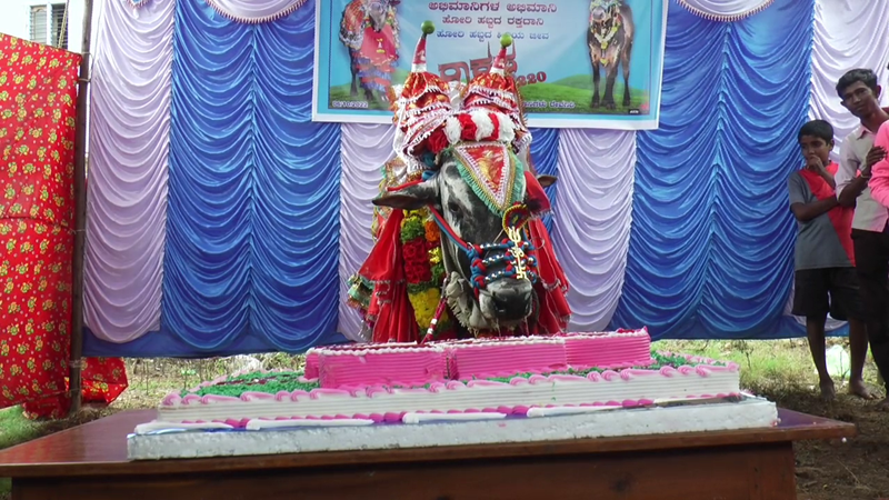 HAVERI HORI BIRTHDAY 3