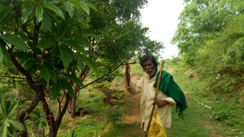 Kamegowda 1