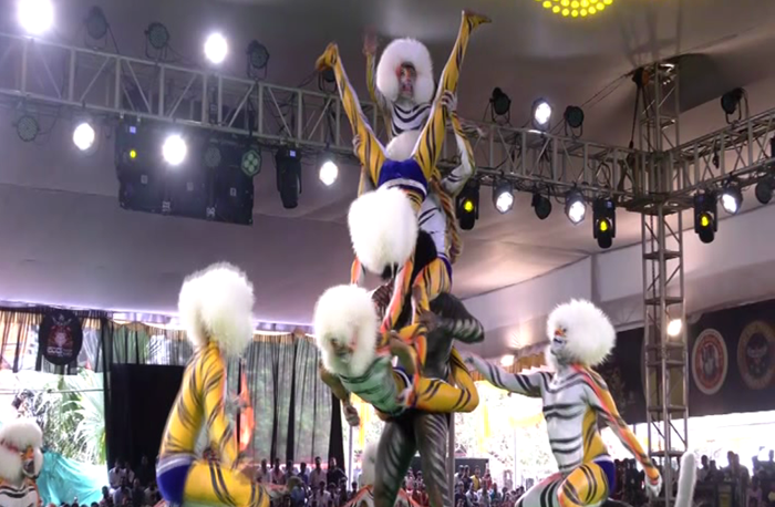 MANGALURU TIGER DANCE