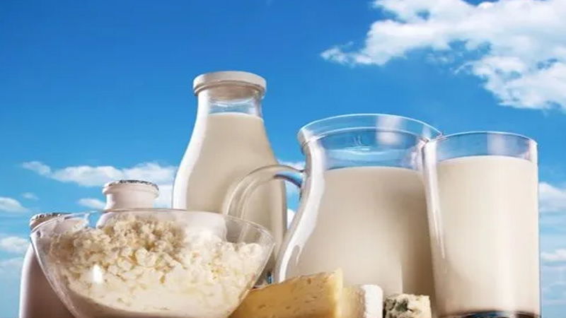 Mother Dairy Milk
