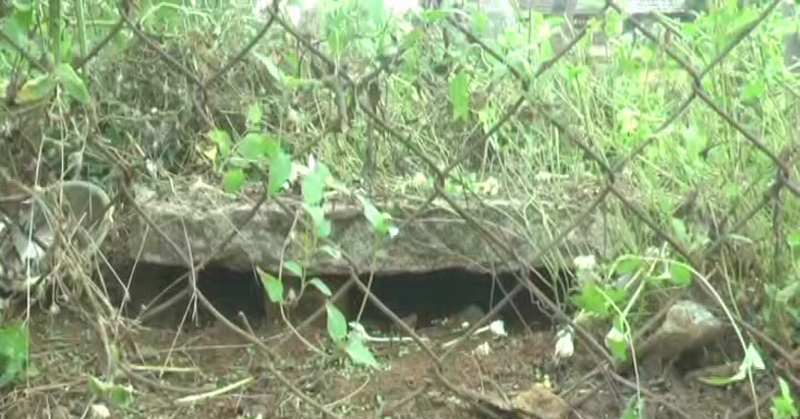 RAICHUR SNAKE 2