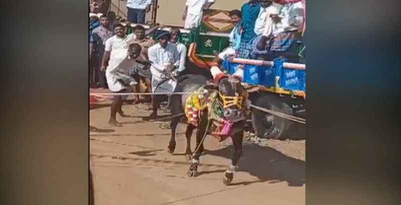 SHIVAMOGGA HORI 2
