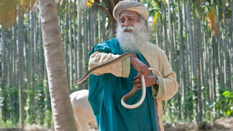 Sadhguru 1