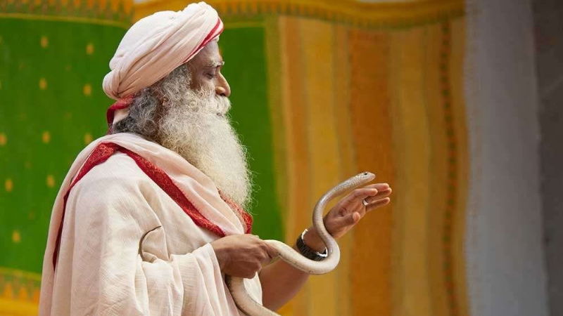 Sadhguru