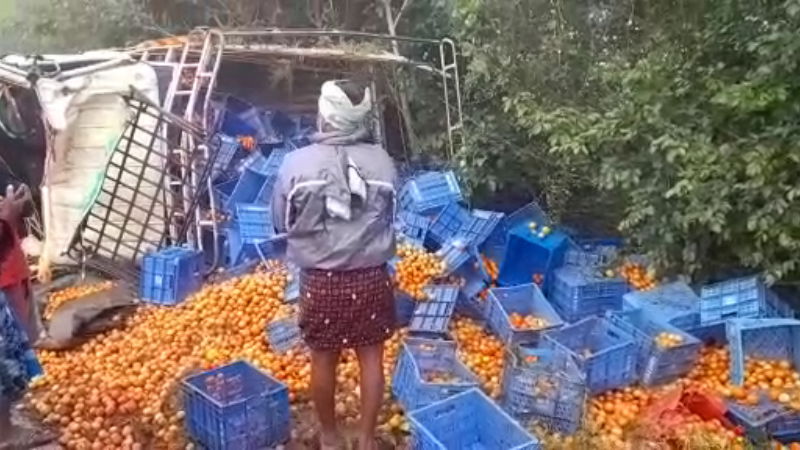 Tomato laden Tempo overturns 300 box of tomatoes scattered on Road kolara 1