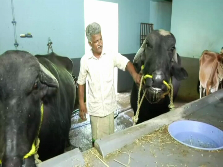 UDUPI KAMBALA 4