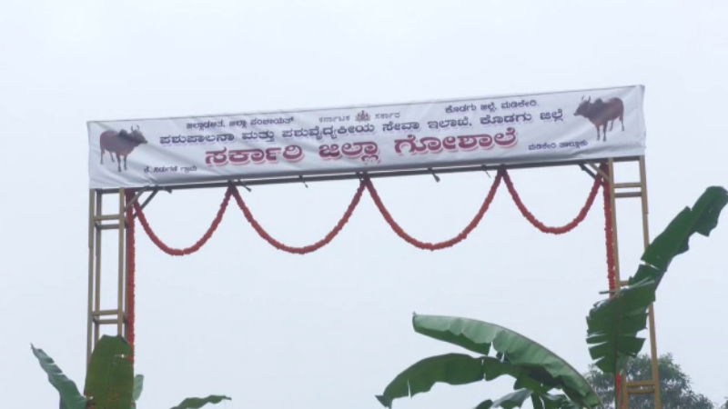 madikeri Cowshed