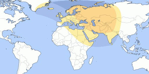 world map