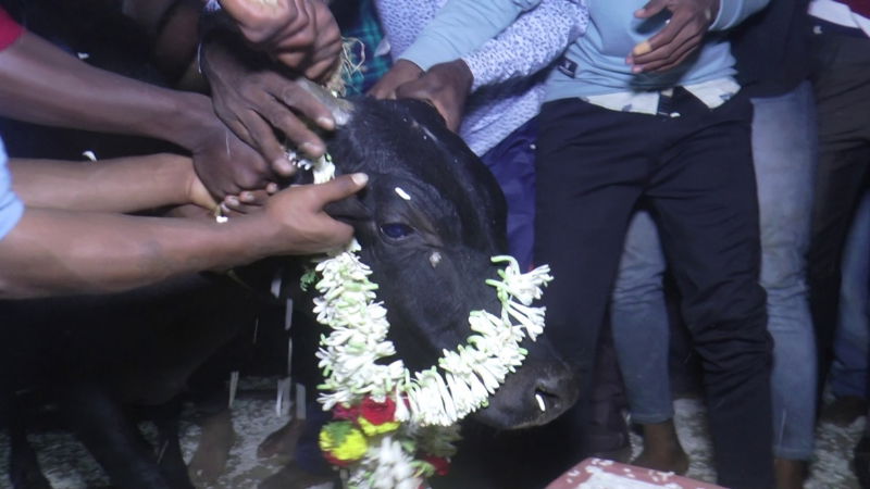 Chikkamagaluru 1 1
