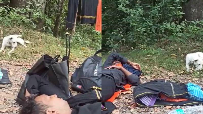 Dog Walks With Sabarimala Devotees From Dharwad 3