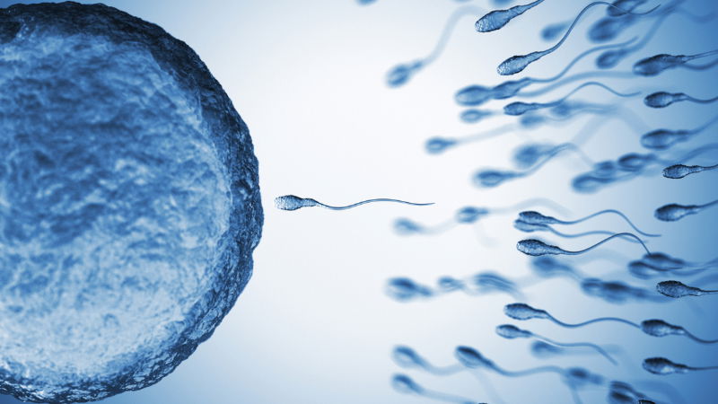 Infertility Treatment 1