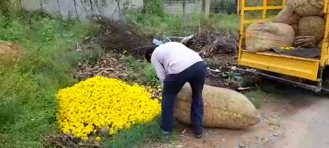 KOLAR FARMER 2