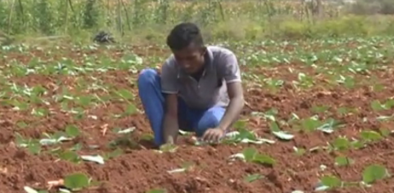 KOPPALA STUDENT 3