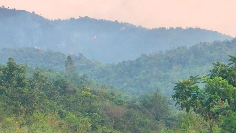 Kappatagudda Forest 2