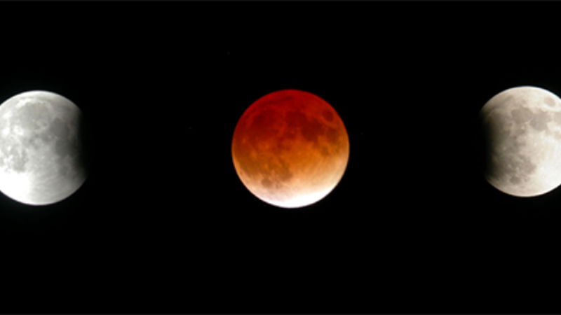 Lunar Eclipse 1