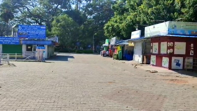 MANDYA krs brindavan 2