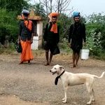 shabarimale dog 1