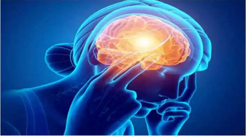 Brain eating amoeba 1