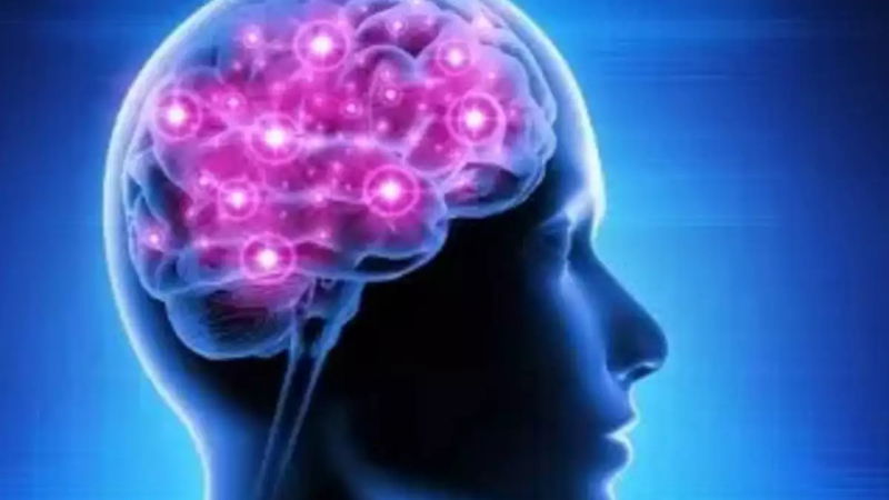 Brain eating amoeba