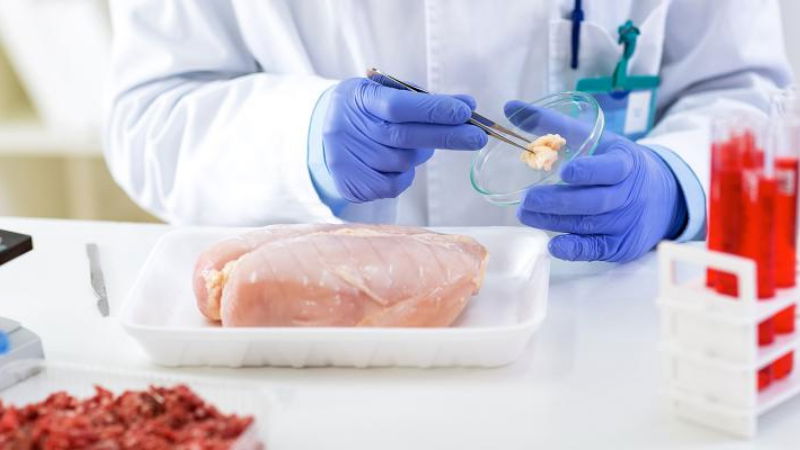 Lab