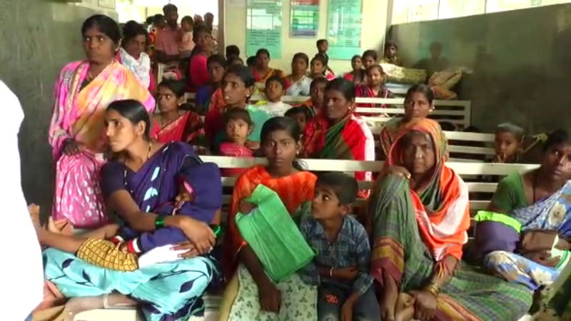 Raichur Zika Virus 1 1