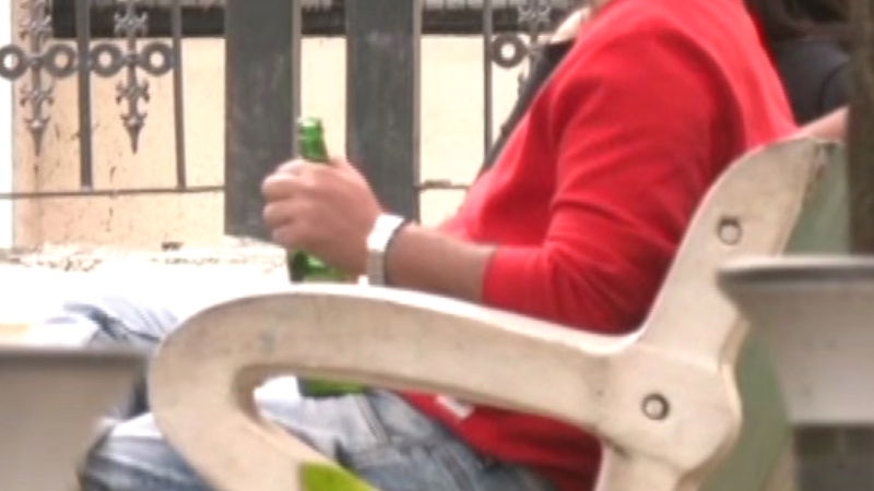 Vidhana Soudha Party
