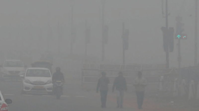 delhi