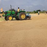despite good price for paddy Raichuru farmers are disappointed 1