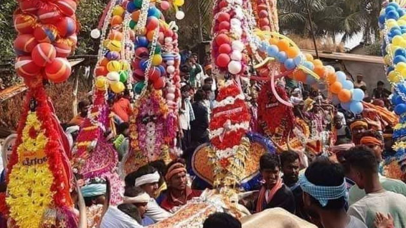 haveri Bull Competition 1