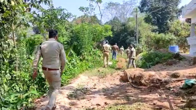 CHIKKAMAGALURU ELEPHANT 1 1