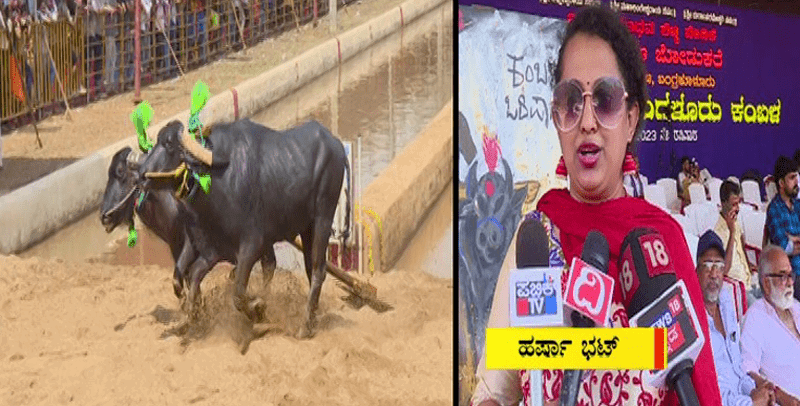 KAMBALA 1